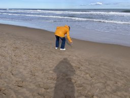 171-06-01-2026 IMG_6509